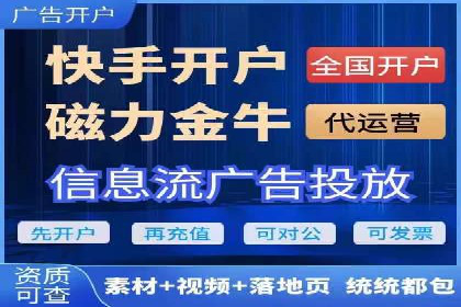短视频信息流营销实战：小红书的成长之路