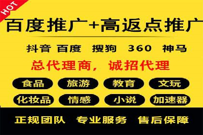 某公司SEO与SEM整合营销的全程记录